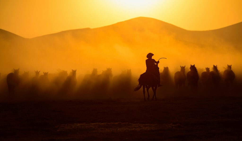 silhouettes of cowboy and herd of horses galloping in dust at sunset